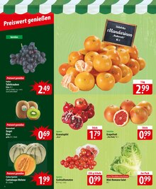 Äpfel im aktuellen famila Nordost Prospekt (Kiel) Äpfel im famila Nordost Prospekt "besser als gut!" mit 28 Seiten (Kiel)