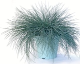 Silver Land Mix Angebote bei Zimmermann Langenhagen für 1,99 €