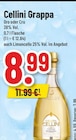 Grappa Oro Angebote von Cellini bei Trinkgut Neuss für 8,99 €