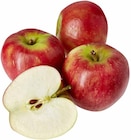Aktuelle Äpfel Angebote bei EDEKA in Mainz Aktuelles Äpfel Elstar Angebot bei EDEKA in Mainz ab 1,99 €