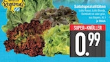 E center Donauwörth - Lollo Rosso Angebot im Prospekt Lollo Rosso bei E center im Donauwörth Prospekt für 0,99 €