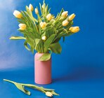 Bouquet de 30 tulipes dans le catalogue Colruyt