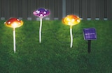 Solar-Dekolicht „Pilze“ für 12,99 € bei toom Baumarkt im Angebot Solar-Dekolicht „Pilze“ im aktuellen toom Baumarkt Prospekt