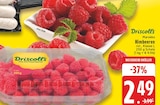 EDEKA Werther - Himbeeren Angebot im Prospekt Himbeeren bei EDEKA im Werther Prospekt für 2,49 €