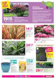 Offre Rosier dans le catalogue Delbard du moment à la page 3