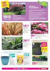 Laurier en promo dans le catalogue Delbard à la page 3