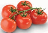 Strauchtomaten bei nah&frisch im Prospekt "" für 2,22 €