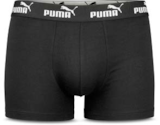 Herren Retro-shorts im Angebot bei Netto Marken-Discount in Bonn Herren Retro-shorts Angebote von Puma bei Netto Marken-Discount Bonn für 10,99 €