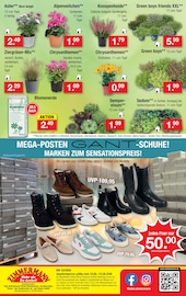 Kochtopf im Zimmermann Prospekt in Rüsselsheim Aktueller Zimmermann Prospekt mit Kochtopf, "Aktuelle Angebote", Seite 10