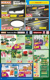 Offre Plantes dans le catalogue Norma du moment à la page 4