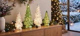 LED-Dekoleuchte „Weihnachtsbaum“ von  im aktuellen Segmüller Prospekt für 9,99 €