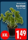 EDEKA Ahlen Prospekt mit  im Angebot für 1,49 €