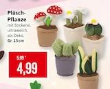 Kaufhaus Stolz Baabe - Plüsch-Pflanze Angebot im Prospekt Plüsch-Pflanze bei Kaufhaus Stolz im Baabe Prospekt für 4,99 €