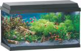 Aquarium-Set Kids 60 oder Aqua 60 Angebote von AniOne bei Fressnapf Freital für 89,00 €