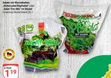 Kopfsalat mit Wurzel Angebote von Scherzer Salate bei GLOBUS Krefeld für 1,19 €