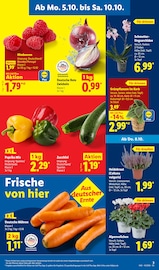 Ähnliche Saatgut Angebote im Prospekt "LIDL LOHNT SICH" von Lidl in Fürth Ähnliche Angebote wie Saatgut im Prospekt "LIDL LOHNT SICH" auf Seite 3 von Lidl in Fürth