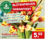 Großbund Tulpen Angebote bei Netto Marken-Discount Speyer für 5,55 €