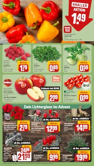 Tomaten im REWE Prospekt "Dein Markt" mit 28 Seiten (Nürnberg)