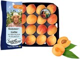 Aprikosen im Angebot bei REWE in Heidelberg Aprikosen Angebote bei REWE Heidelberg für 2,99 €