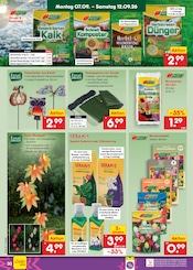 Ähnliche Vogelhaus Angebote im Prospekt "Aktuelle Angebote" von Netto Marken-Discount in Flensburg Ähnliche Angebote wie Vogelhaus im Prospekt "Aktuelle Angebote" auf Seite 46 von Netto Marken-Discount in Flensburg