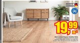 Klick-Laminat Kingsize Hamilton Eiche Angebote bei Jähnke DIE WOHNRAUM-PROFIS e.K Brandenburg für 19,99 €