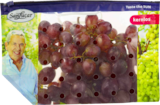 Trauben hell oder rot kernlos im Angebot bei E center in Karlsruhe Trauben hell oder rot kernlos Angebote von SanLucar bei E center Karlsruhe für 2,49 €