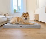 Orthopädisches Hunde-Kissen „Merano“ 100 x 65 x 10 cm im Angebot bei Raiffeisenmarkt in Osnabrück Orthopädisches Hunde-Kissen „Merano“ 100 x 65 x 10 cm Angebote von petlando bei Raiffeisenmarkt Osnabrück für 49,99 €