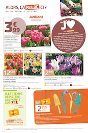 Offre Tulipes dans le catalogue Jardiland du moment à la page 4