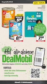 Lachs im EDEKA Prospekt in Kamen Aktueller EDEKA Prospekt mit Lachs, "Aktuelle Angebote", Seite 21