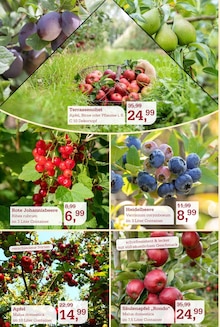 Äpfel im aktuellen Garten-Center Nordharz GmbH & Co. KG Prospekt (Braunschweig) Äpfel im Garten-Center Nordharz GmbH & Co. KG Prospekt "Farben Düfte Frühlingsfreude" mit 16 Seiten (Braunschweig)