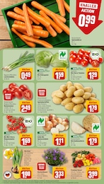 Staubsauger Angebot im aktuellen REWE Prospekt auf Seite 7