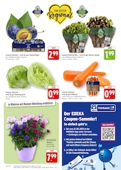 Ähnliche Angebote wie Obstbaum im Prospekt "Aktuelle Angebote" auf Seite 5 von EDEKA in Bietigheim-Bissingen