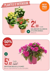 Offre Kalanchoë dans le catalogue Botanic du moment à la page 9