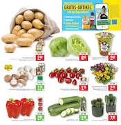 Bio im Marktkauf Prospekt in Ravensburg Aktueller Marktkauf Prospekt mit Bio, "Aktuelle Angebote", Seite 5