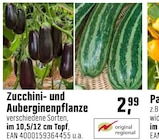 Aktuelle Zucchini Angebote bei OBI in Nürnberg Aktuelles Zucchini- und Auberginenpflanze Angebot bei OBI in Nürnberg ab 2,99 €