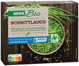 Schnittlauch im REWE Prospekt Schnittlauch von REWE im aktuellen REWE Prospekt für 0,75 €