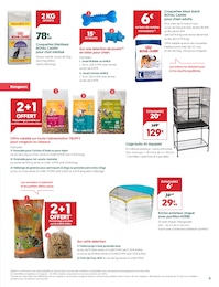 Offre Alimentation Rongeur dans le catalogue Truffaut du moment à la page 11