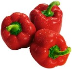 Rote Bio Paprika Angebote von REWE Bio bei REWE Hoyerswerda für 2,29 €