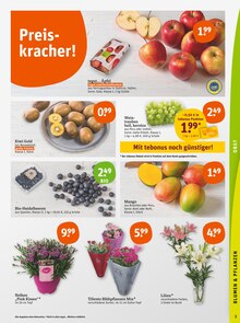 Obst im tegut Prospekt "tegut… gute Lebensmittel" mit 23 Seiten (München)
