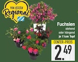 Fuchsien  im aktuellen EDEKA Prospekt für 2,49 €