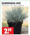 SILBERGRAS-MIX im Angebot bei Wreesmann in Brandenburg SILBERGRAS-MIX Angebote von Silver Land bei Wreesmann Brandenburg für 2,59 €