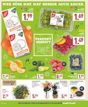 Aktueller Marktkauf Prospekt mit Orchidee, "Aktuelle Angebote", Seite 2