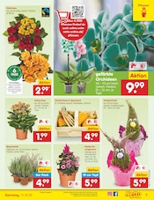Aktueller Netto Marken-Discount Prospekt mit Blumen, "Aktuelle Angebote", Seite 7