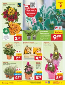 Pflanzen im Netto Marken-Discount Prospekt "Aktuelle Angebote" mit 59 Seiten (Erfurt)