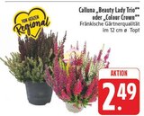 EDEKA - Calluna „Beauty Lady Trio“ oder „Colour Crown“ Angebot im Prospekt Calluna „Beauty Lady Trio“ oder „Colour Crown“ bei EDEKA im Prospekt "" für 2,49 €