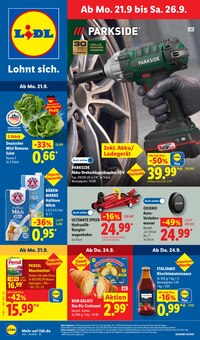 Vollwaschmittel im aktuellen Lidl Prospekt (Dresden) Vollwaschmittel im Lidl Prospekt "LIDL LOHNT SICH" mit 65 Seiten (Dresden)