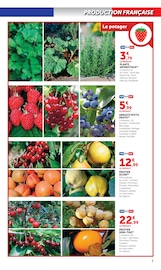 Promos Bricolage dans le catalogue "LES PRIX BAS Spécial jardin d'automne" de Hyper U Bricolage en promo dans le catalogue Hyper U à la page 5