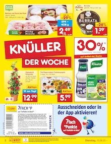 Aktueller Netto Marken-Discount Ölbronn-Dürrn Prospekt Netto Marken-Discount Prospekt Ölbronn-Dürrn "Aktuelle Angebote" mit 63 Seiten