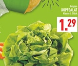 Kopfsalat bei Marktkauf im Blomberg Prospekt für 1,29 €