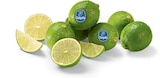 Limetten im aktuellen Netto Marken-Discount Prospekt